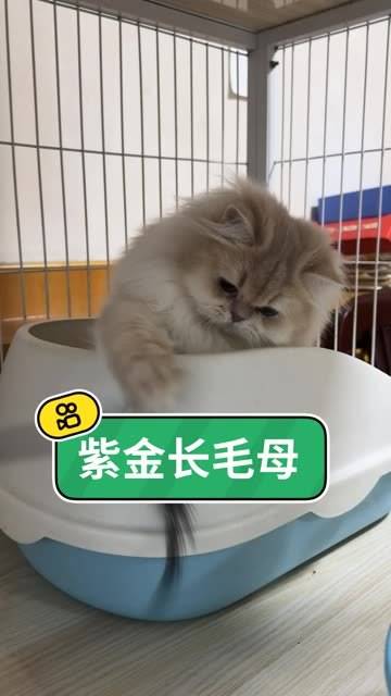 优拍视频苹果版苹果视频app下载